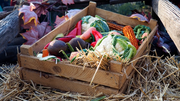 Foto cassa di legno con verdure fresche di fattoria su una cannuccia. concetto di vendemmia autunnale