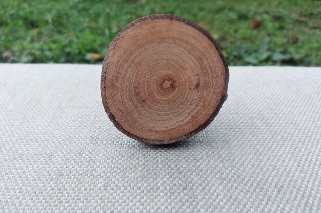 Wooden cross section of a tree trunk on a background of green grass