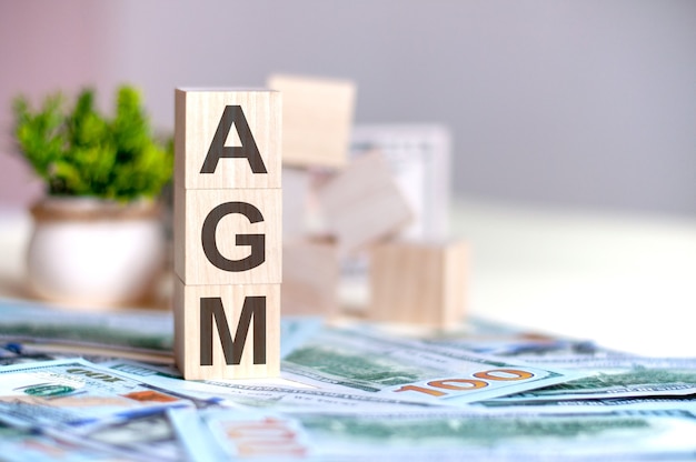 Wooden cubes with the letters AGM arranged in a vertical pyramid on banknotes, green plant in a flower pot on the surface