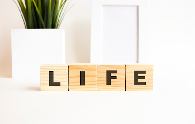 Wooden cubes with letters on a white table with empty frame and house plant.