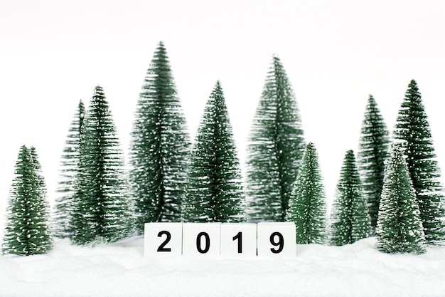 Фото Деревянные кубики с номерами 2019 года в лесу