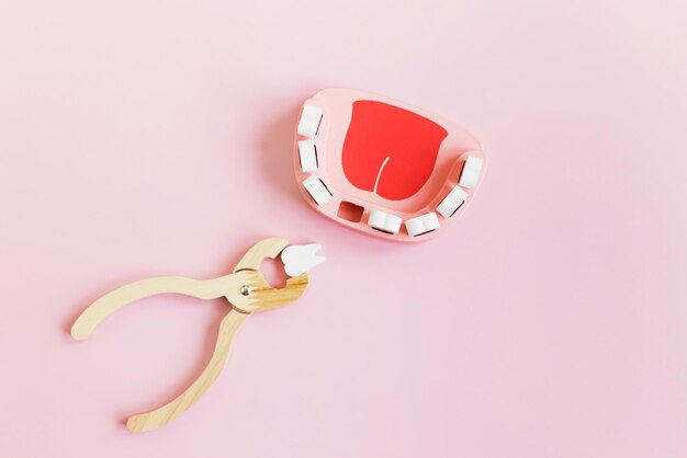 Wooden dental forceps and jaw with teeth on a pink background with copy space Dentistry dentist clinic concept