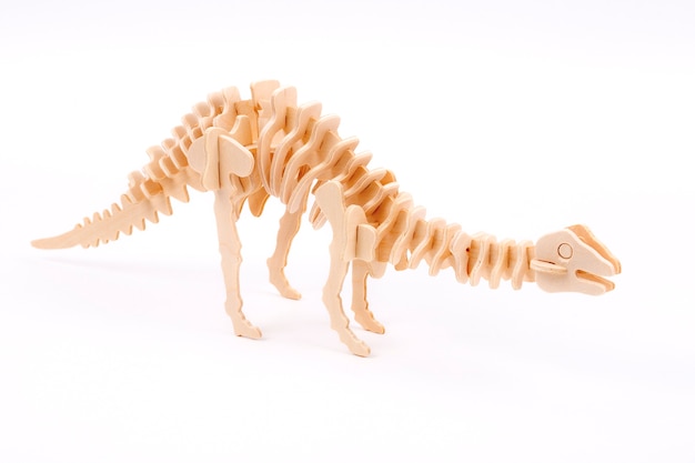 Wooden dinosaur skeleton 