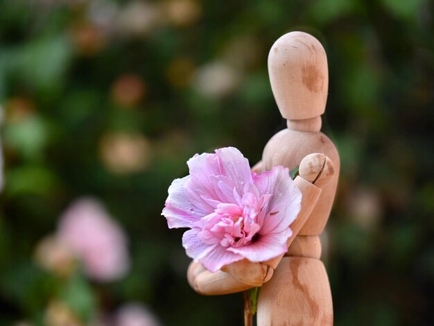 Photo wooden doll and flower