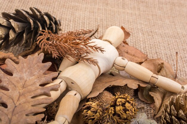 Wooden dolls posing amid leaves