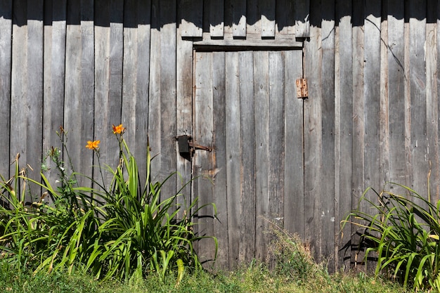 Wooden door closed with a padlock