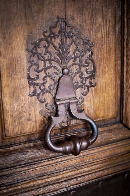 Wooden door of an old French mansion