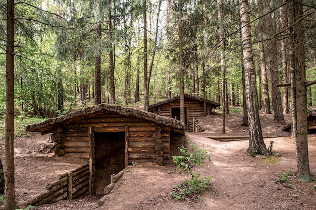 Panchine in legno nascoste nella foresta