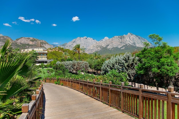 Wooden empty bridge in Turkish hotel park