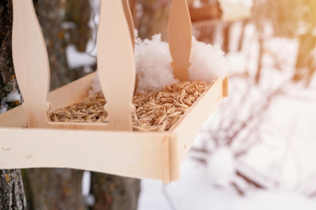 Wooden feeder for wild forest birds with food hanging on tree covered with fresh frozen snow and snowflakes on frosty winter day in forest or garden animal care snowy winter season in nature flare