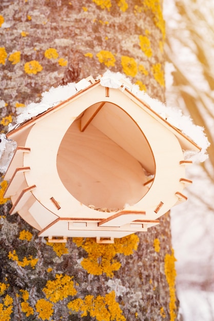 Wooden feeder for wild forest birds with food hanging on tree covered with fresh icy frozen snow and snowflakes on frosty winter day in forest or garden animal care snowy winter season in nature