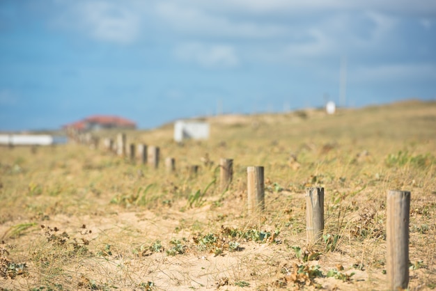 Wooden fence on Atlantic beach