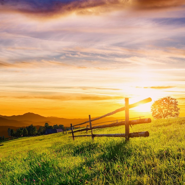 Photo wooden fence beautiful meadow blanketed with wildflowers