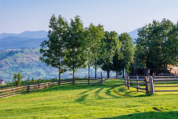 Wooden Fence Under a Blue Sky