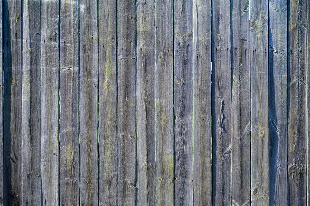 Wooden fence boards made of unpainted closeup shot