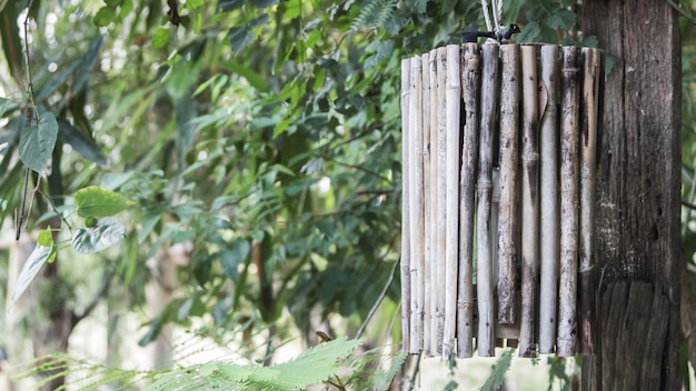 Wooden fence by tree in yard