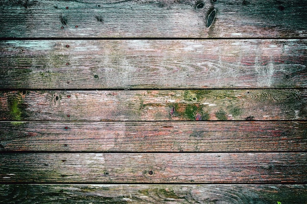 Wooden fence covered by moss