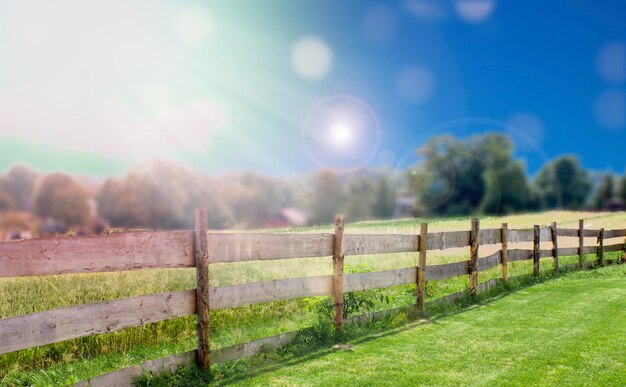 Wooden fence and field on a sunny day