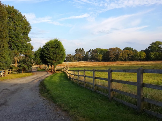 wooden fence on grassy field against sky