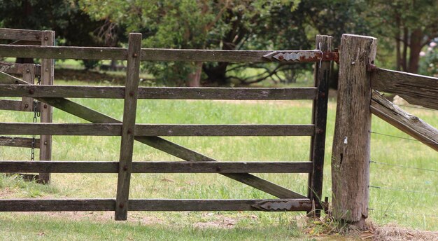 Photo wooden fence on grassy field