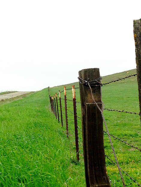 Photo wooden fence on grassy field