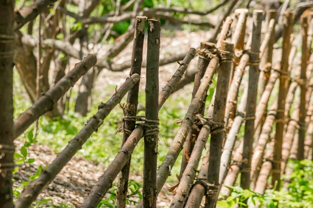 Wooden fence made of branches Decoration of the city park