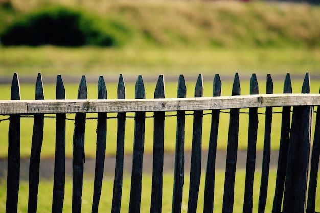 Фото Деревянный забор на поле