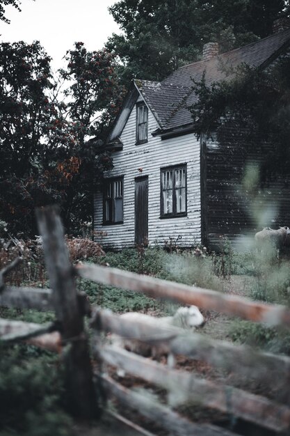 Photo wooden fence outside a house photo