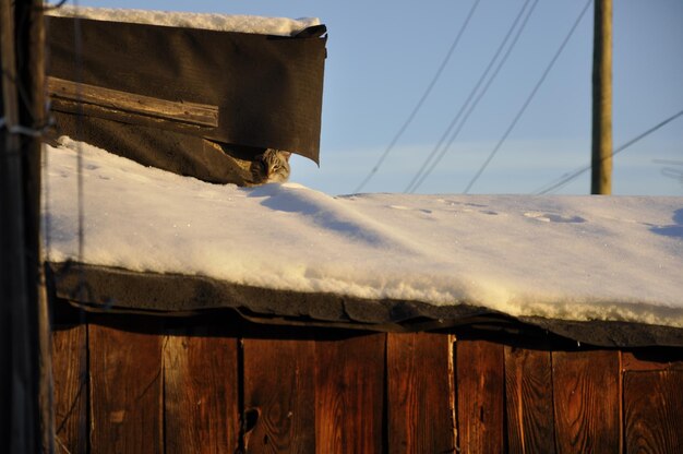 Photo a wooden fence with a black tarp on it and a black tarp on it