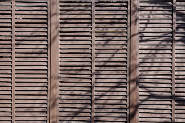 Wooden fence with shady trees