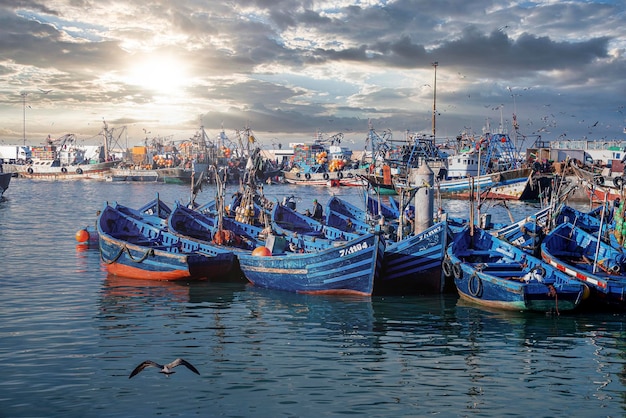 Wooden fishing boats anchored at marina against dramatic cloudy sky