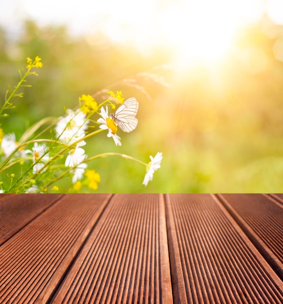 Wooden floor against the background of a field with chamomile flowers and a butterfly at sunset