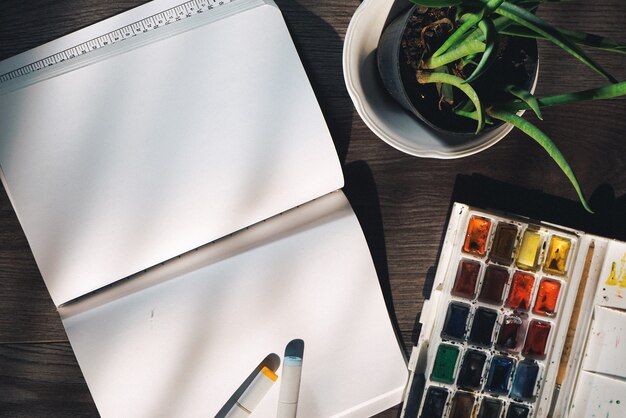 Photo on the wooden floor is a white notebook, a green plant in a pot and colorful watercolor paints