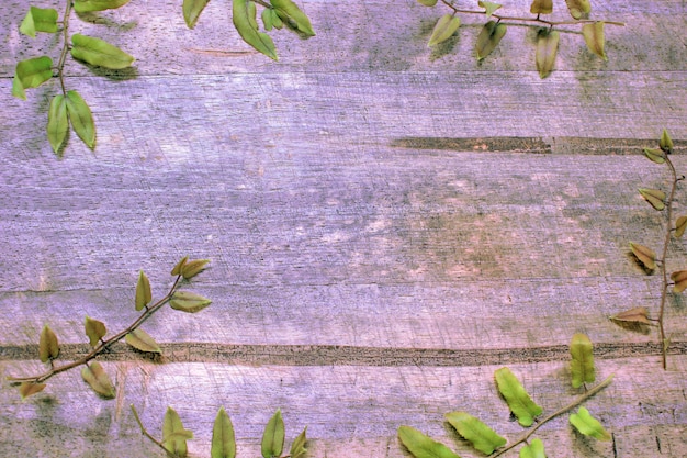 Behind the wooden floor with fern leaves