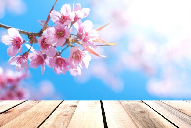 Wooden floors and has background see the cherry blossoms.