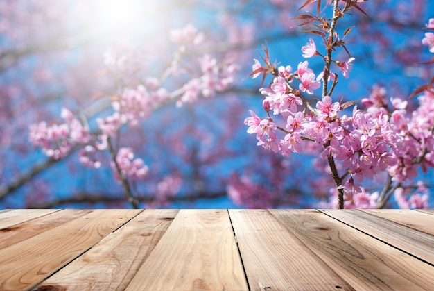 나무 바닥과 배경은 벚꽃을 참조하십시오.