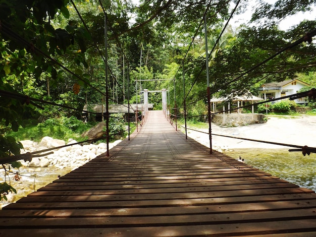 wooden footbridge amidst trees in forest