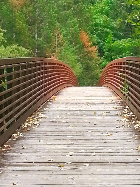写真 森の木製の歩道橋