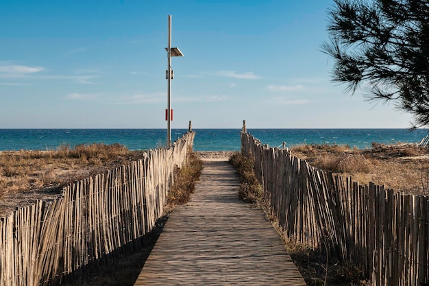 Wooden footbridge leading to the beach in the protected natural spaces of the Llobregat Delta