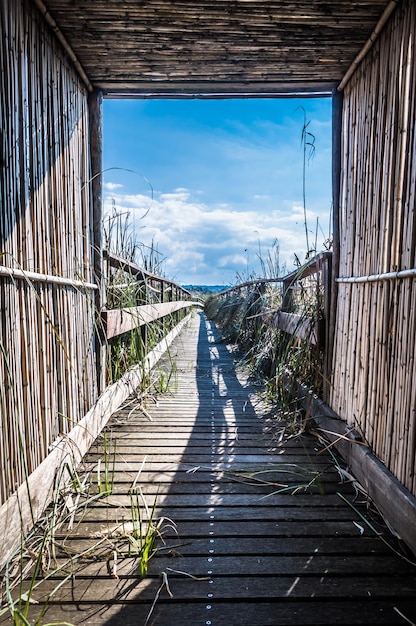 Wooden footbridge near the pond