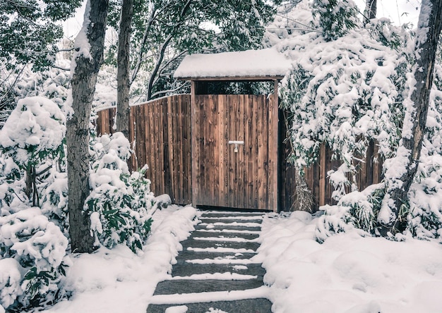 Wooden footpath in winter park