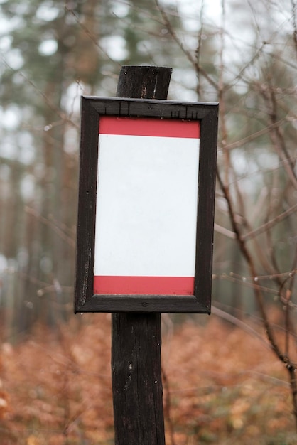 A wooden frame with a red border is hanging on a tree trunk.