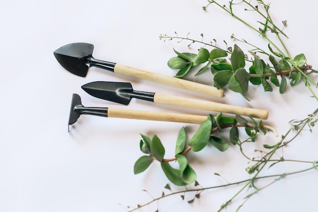 Wooden garden tools on a background with green plants