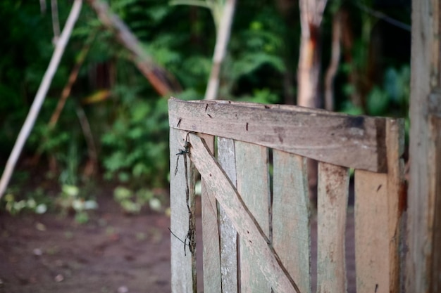 A wooden gate in a forest with the word love on it