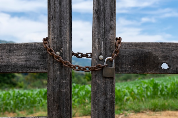 Wooden gate with chain and padlock