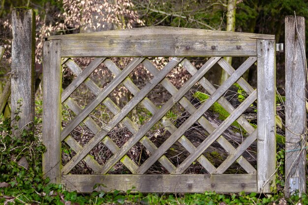 A wooden gate with a lattice design is in the middle of a forest high quality