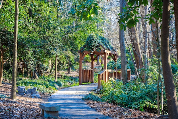 Gazebo in legno ricoperto di piante in un parco