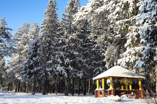 Wooden gazebo in the forest in winter sunny day