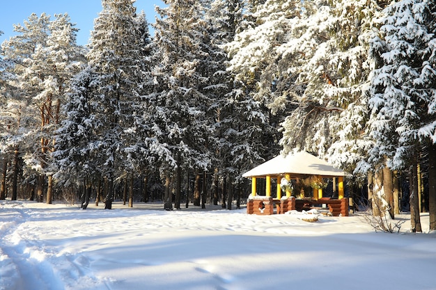 wooden gazebo in the forest in winter sunny day