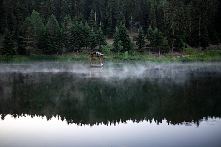 Photo wooden gazebo on the lake with pine trees and fog in the background in the forest in kure mountain national forest recreation area in summer in kastamonu city